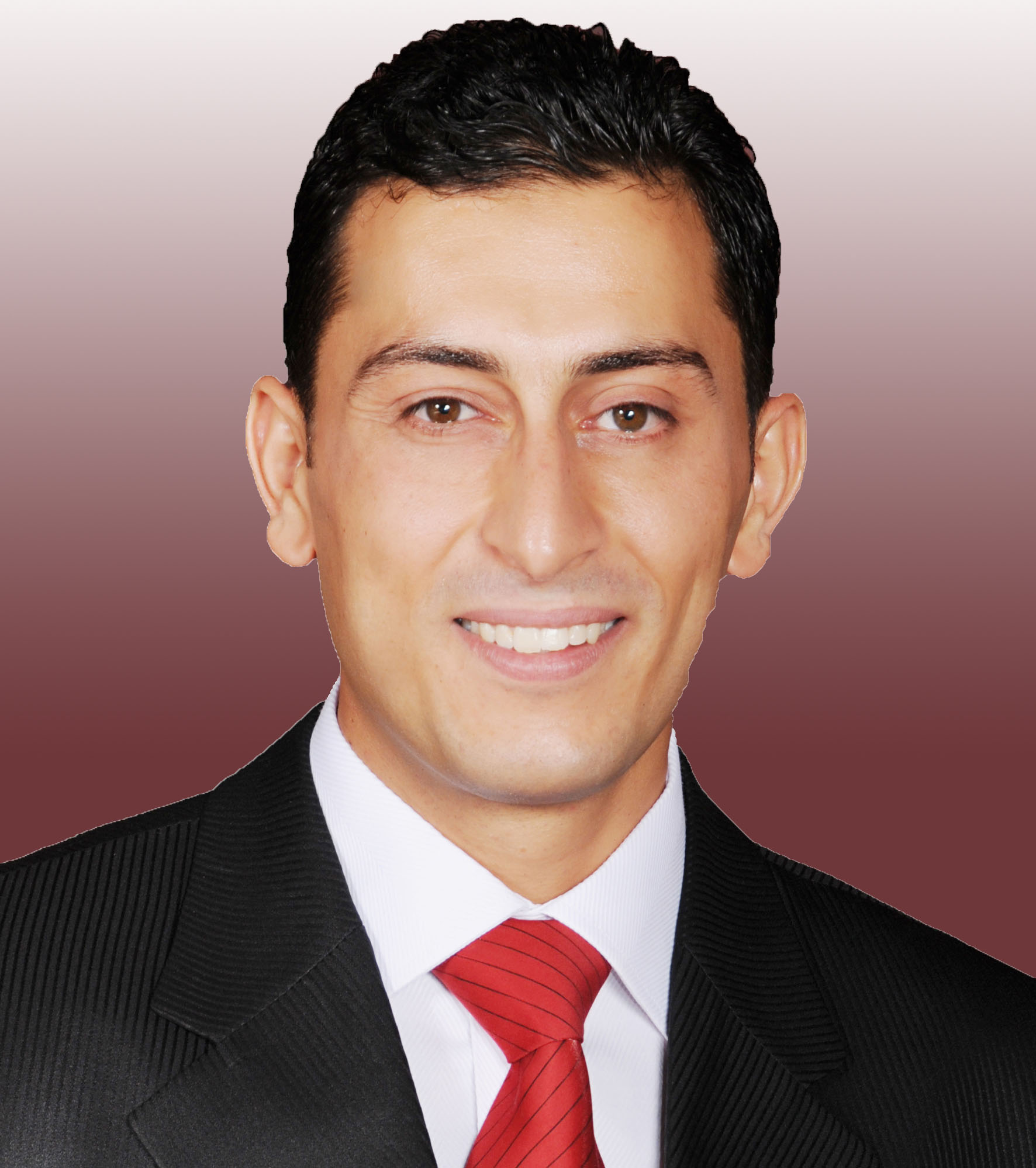 Tarek M. Hamdani