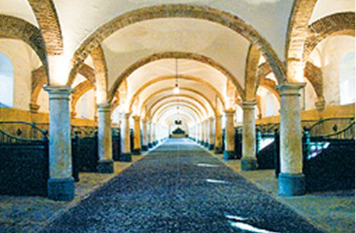 Welcome Reception in Monumental Royal Stables (Caballerizas Reales)